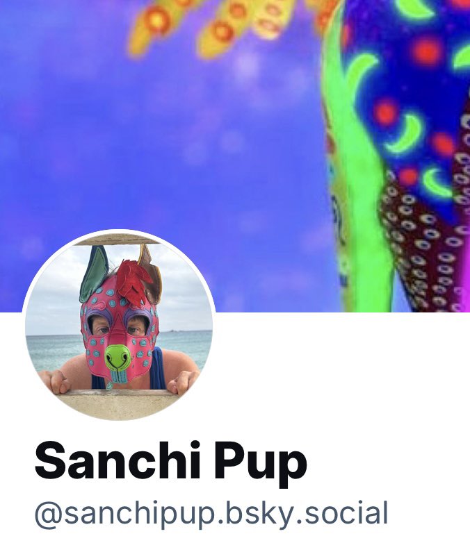 SanchiPup's tweet photo. Aruff! This puppy is moving to a safer place. Cya on the other side! 

#pupplay #gaypup #pawesome https://t.co/5CGbg17zm3