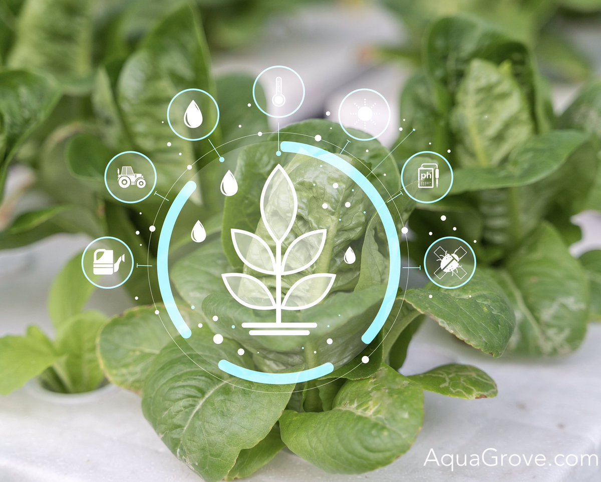 AquaGrove's tweet photo. When it comes to climate change, there are many ways to make a difference. Sustainable agriculture like #aquaponics has multiple benefits for the #environment including water conservation, maximized use of nutrients and grow space. Learn more at https://t.co/7tMYI0olco
#aquagrove https://t.co/FPa4CiMvRy