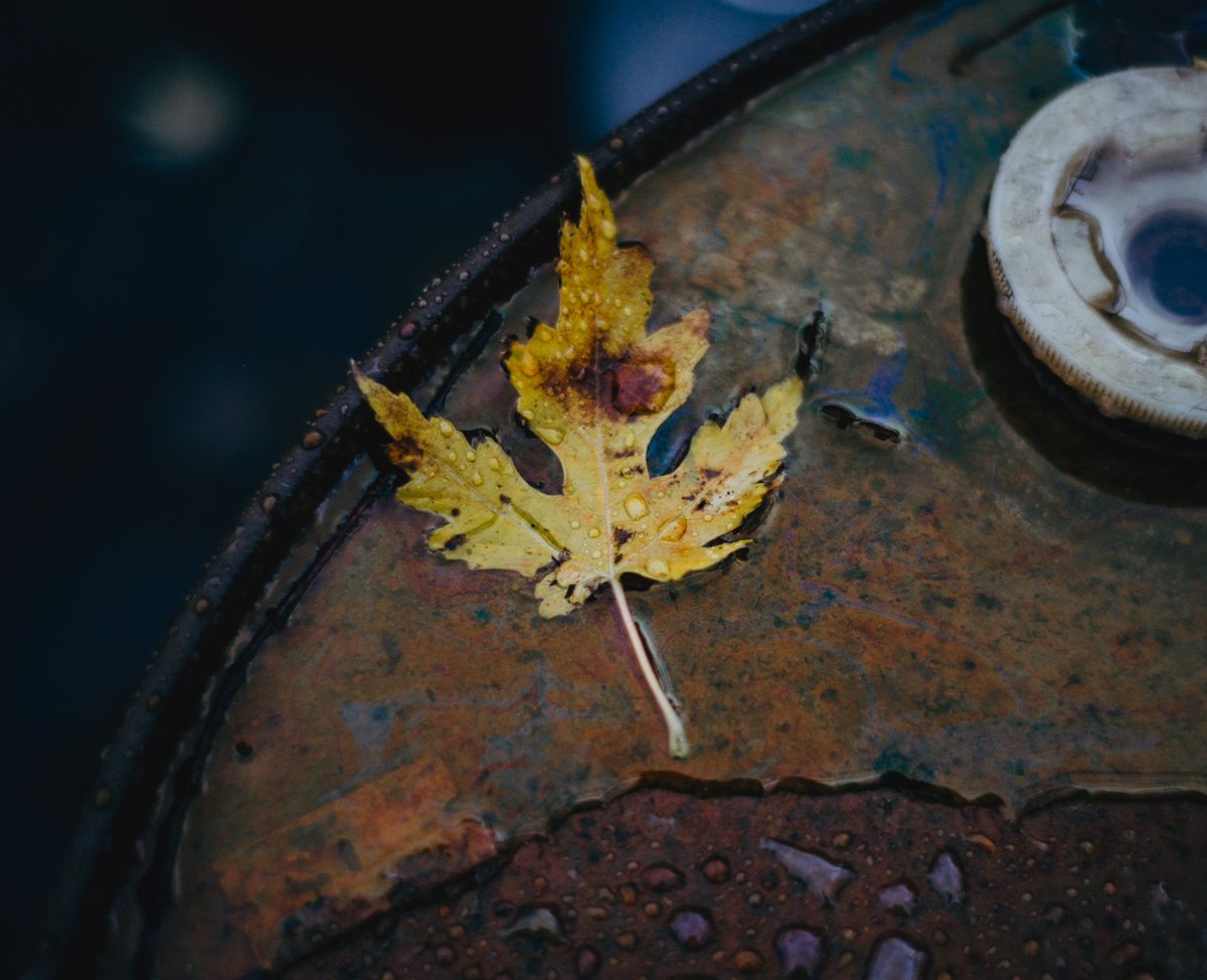 _kylephotos's tweet photo. Autumn ‘24 https://t.co/MU97EoPY4Z