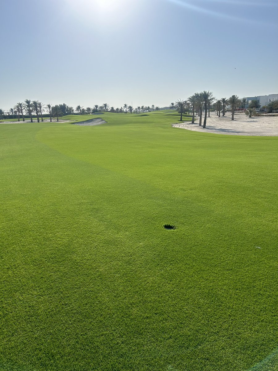 Jamie Faulkner tweet media