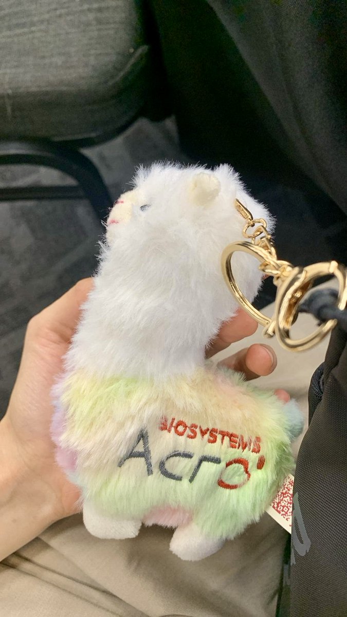 CaseyWongSci's tweet photo. That’s a wrap on #TMM2024! So grateful to catch up with old friends and meet new ones. Blown away by how passionate these folks are about advancing patient care with stem cells 💜 Until next time! 👋 (Also, meet my new mini llama!🦙👀) https://t.co/wKICmEHsFM