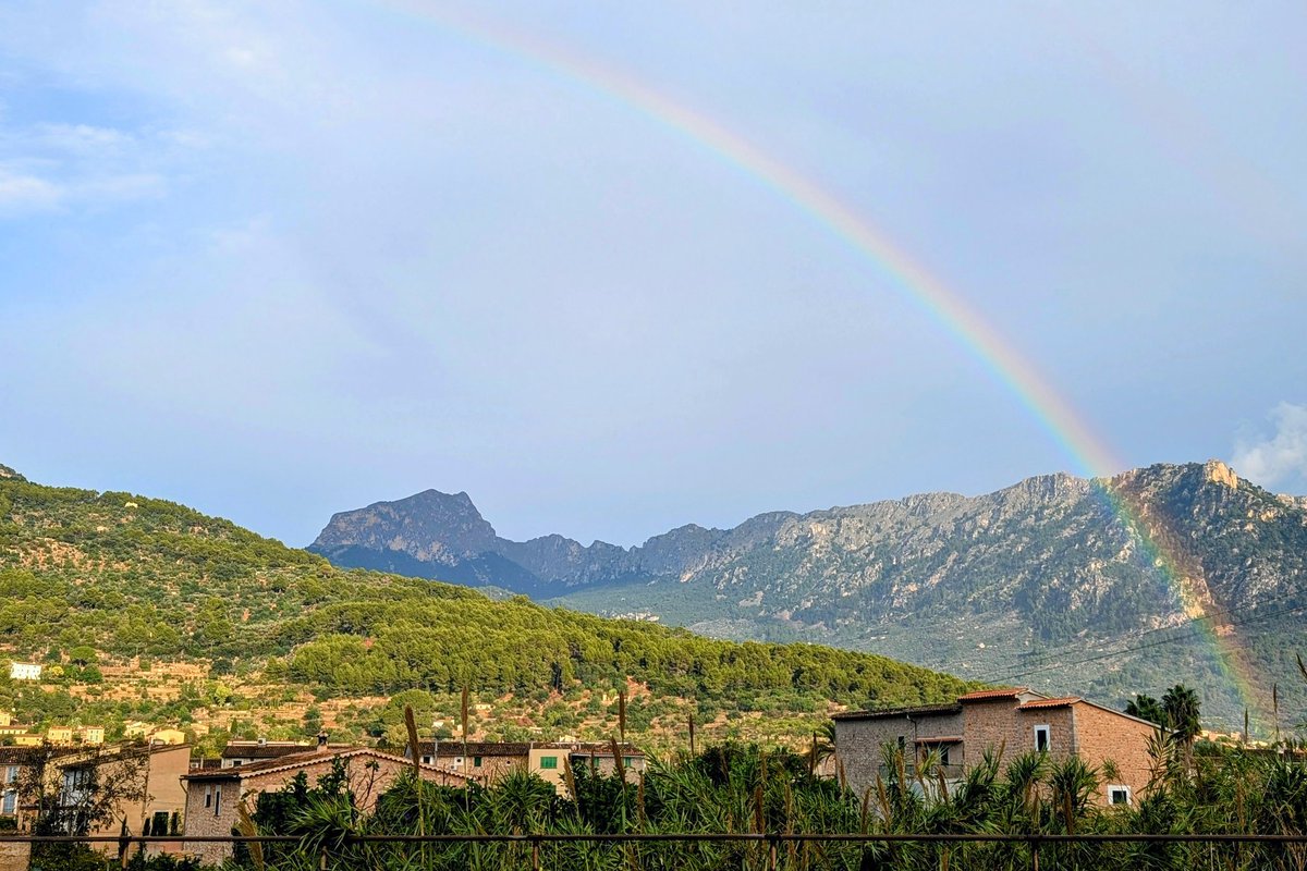 @guillemwil tweet media