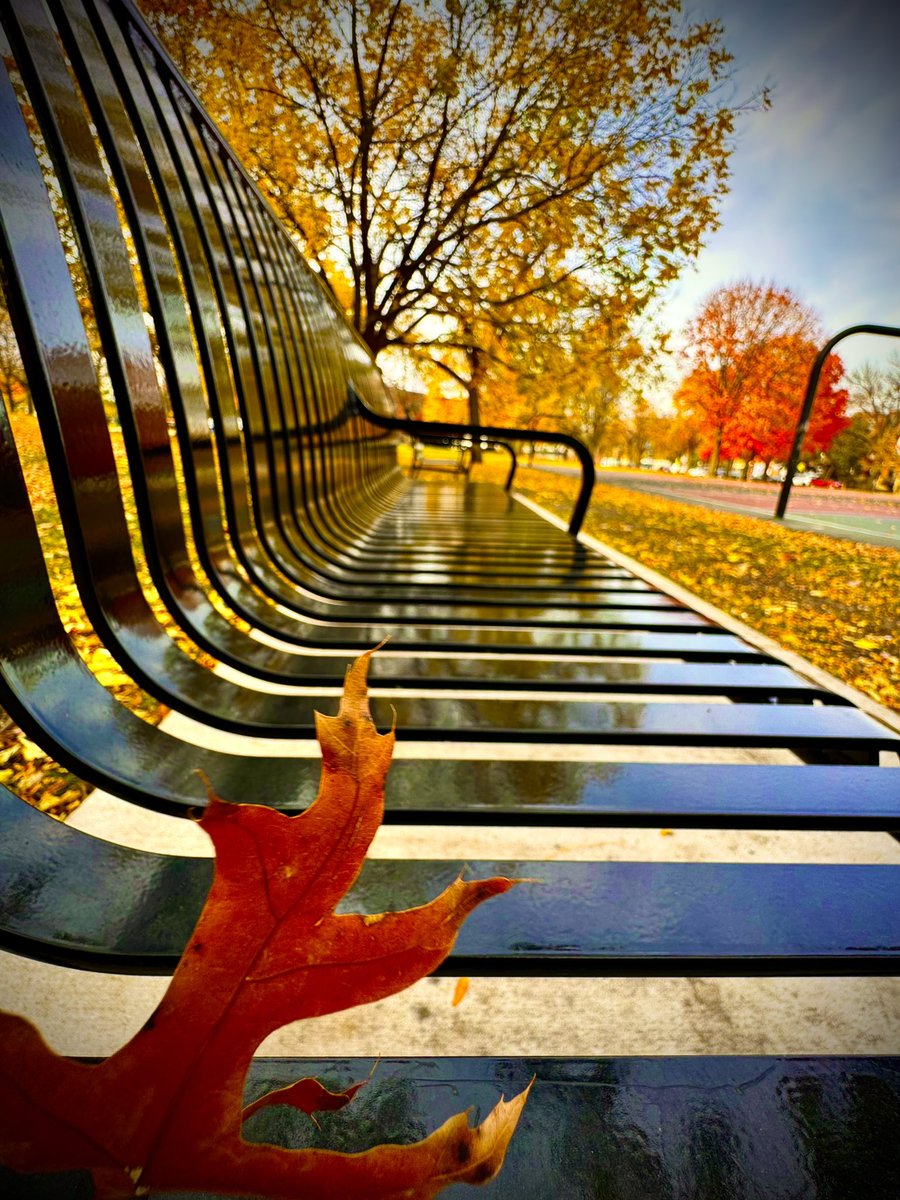 litolits's tweet photo. Catching some Fall season colors. 🇺🇸

#Chicago #illinois #USA
#SimpleImage #iPhoneOnly
#WalkingAroundChicago
#BeautifulCity #NaturallyCurious
#FlyClickEditRepeat https://t.co/xbuAnGEcgA