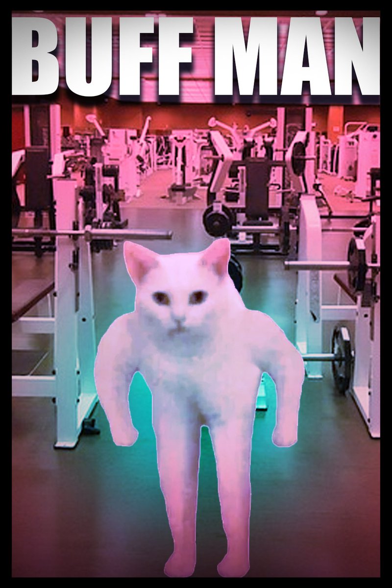 Saw someone comment that they liked the silly  little posters I  put in the background of my Feline Fine Video so I'm sharing the images.