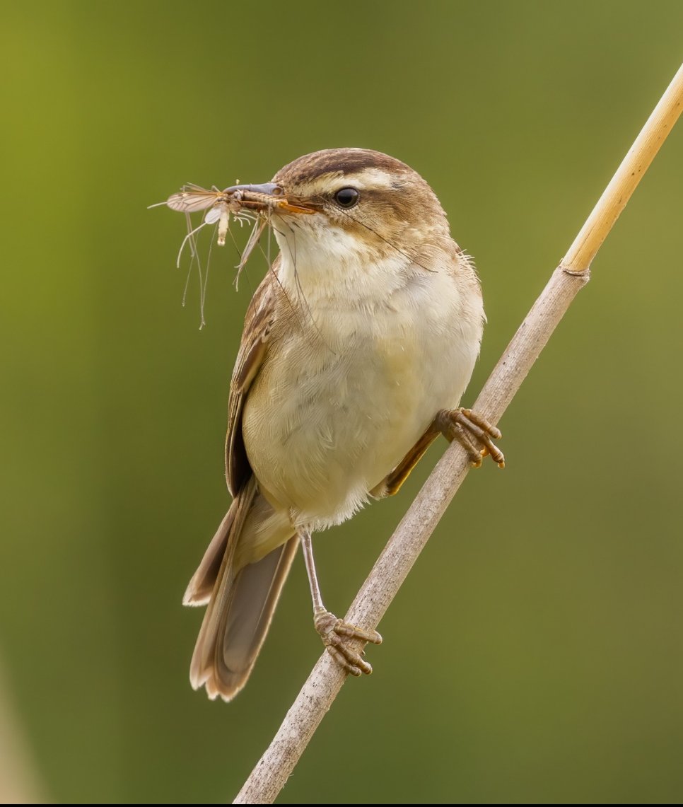 It's all change for me again. But change should be welcomed and not feared. So for no reason whatsoever and completely out of context, here is the best image I have taken in 2024.