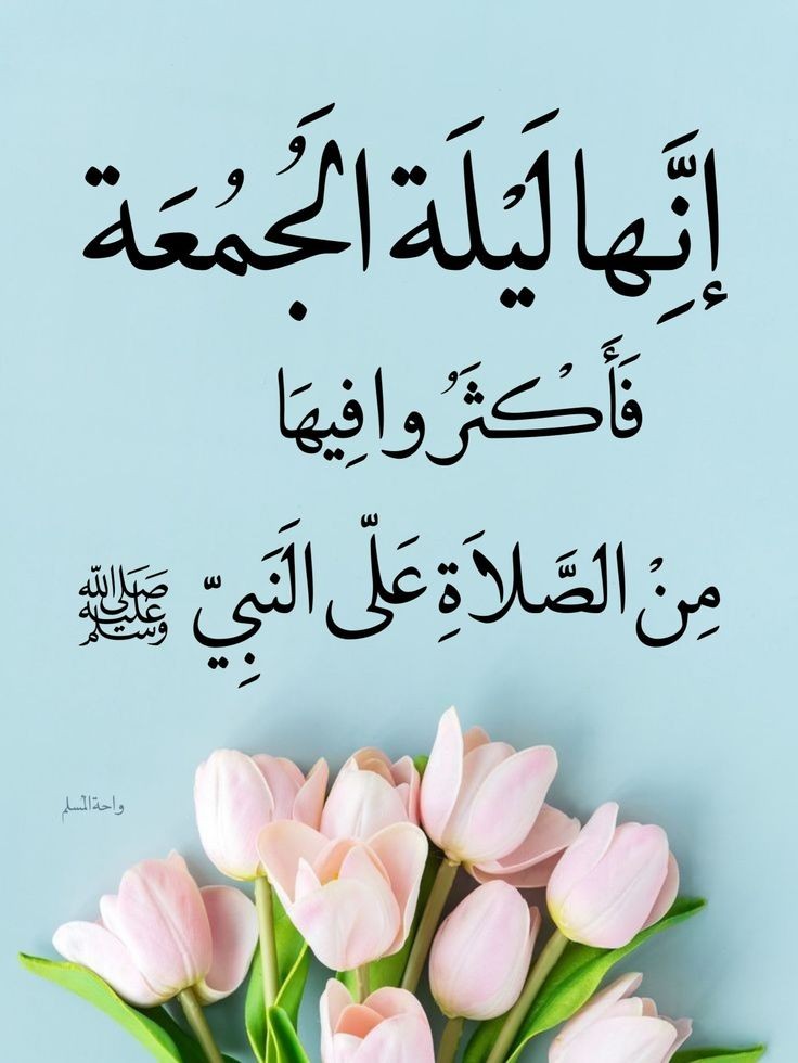( حنان قنديل) tweet media