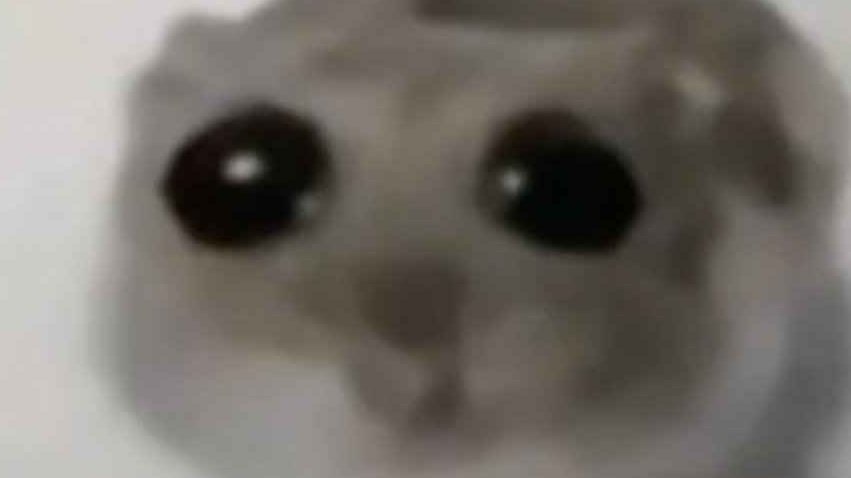 ᅠ * ﹅ 𝓽h͜͡ᵉ ˘ ✘ ᵈi͜͡𝓼t꩜R͟T͟I͟ONⁱˢᵗ 、 .ᐟ tweet media