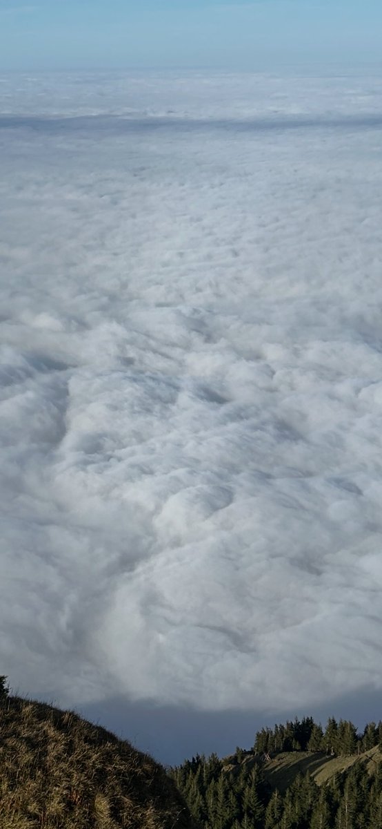 #seaOfFog #queenOfTheMountains #fromADistance <a href="/MySwitzerland_e/">Switzerland</a>