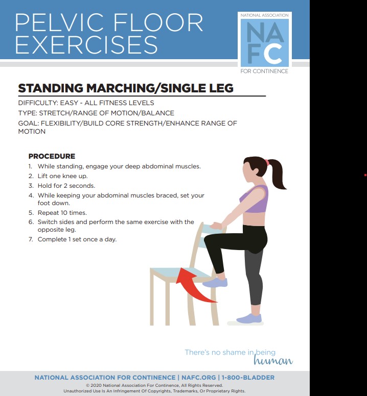 Did you know that pelvic floor exercises, also known as Kegel exercises, help hold urine in the bladder? Daily exercises can strengthen these muscles, which can help keep urine from leaking when you sneeze, cough, lift, laugh, or have a sudden urge to urinate.