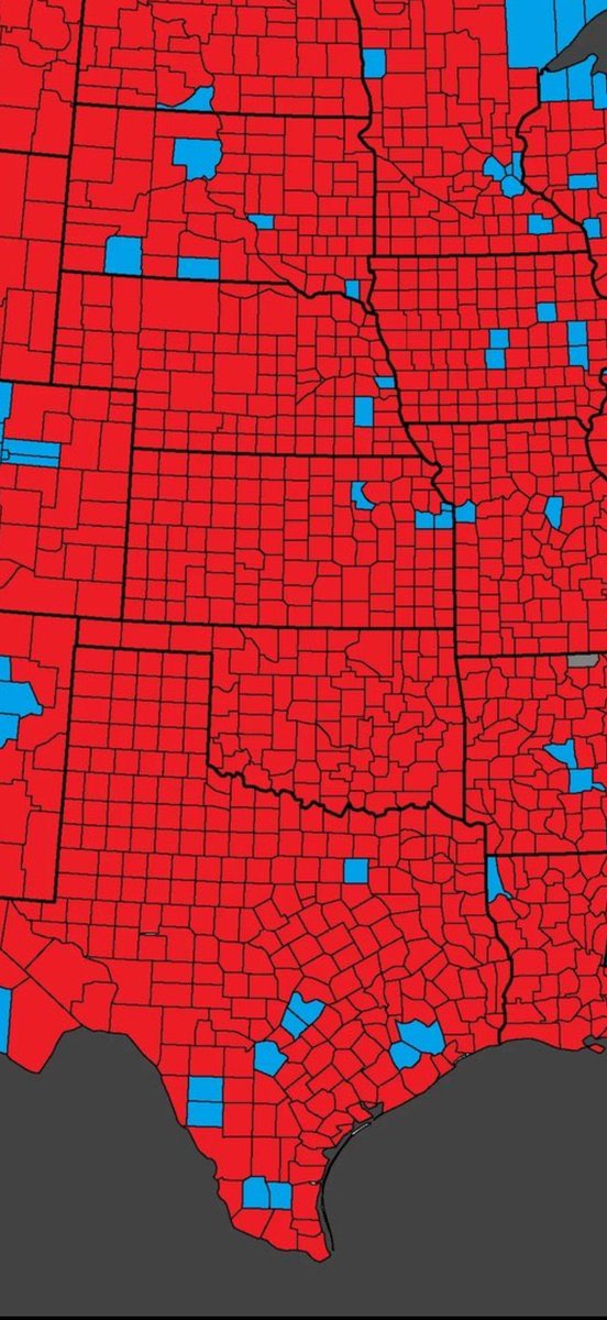 allcattlenohat tweet media