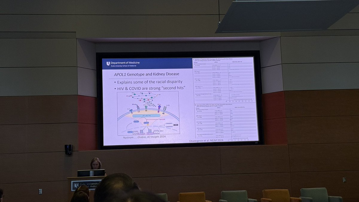 Matthew Sinclair, MD, MHS (@mattysincs) on Twitter photo Great to see my mentor and Chief of <a href="/DukeKidney/">Duke Kidney</a> Dr. Christina Wyatt presenting <a href="/dukemedicine/">Duke Department of Medicine</a> Research Day! Also shoutouts to highlighted work from <a href="/SarahENystrom/">SN</a>, <a href="/OpeyemiOlabisi8/">Opeyemi Olabisi</a>, and <a href="/GbadegesinLab/">Gbadegesin Lab</a>! Great to see my mentor and Chief of <a href="/DukeKidney/">Duke Kidney</a> Dr. Christina Wyatt presenting <a href="/dukemedicine/">Duke Department of Medicine</a> Research Day! Also shoutouts to highlighted work from <a href="/SarahENystrom/">SN</a>, <a href="/OpeyemiOlabisi8/">Opeyemi Olabisi</a>, and <a href="/GbadegesinLab/">Gbadegesin Lab</a>!