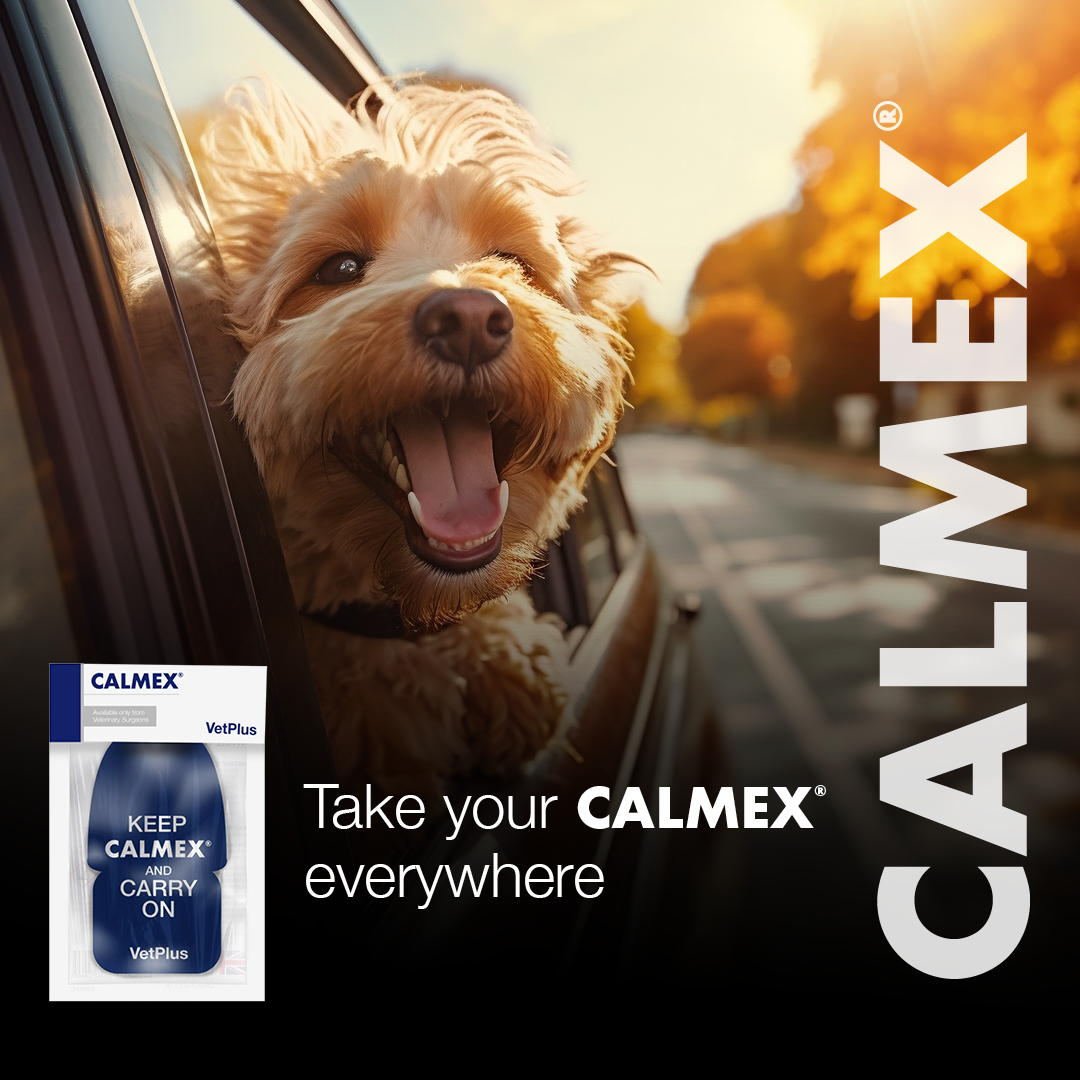 CALMEX® DIFFUSER and CALMEX® ON THE MOVE release key essential oils to help your pet feel more relaxed at home and when travelling. 

Find out more about our CALMEX® range here bit.ly/3YUiTJf