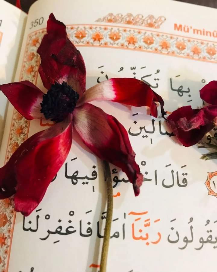 mrlalp's tweet image. Allah'ım. 💗

#HALİM isminle ,
Ahlakımızı güzelleştir .
#ŞAFİ isminle ,
Maddi manevi hastalıklarımızın şifasını ver...
#VEDUD isminle ,
Senin sevgini ve Senin sevgine ulaştıracak
Amelleri sevmeyi nasip eyle ....
             
  #AMİN 🤲     

Cuma Akşamınız mübarek olsun duâ.. 🤲