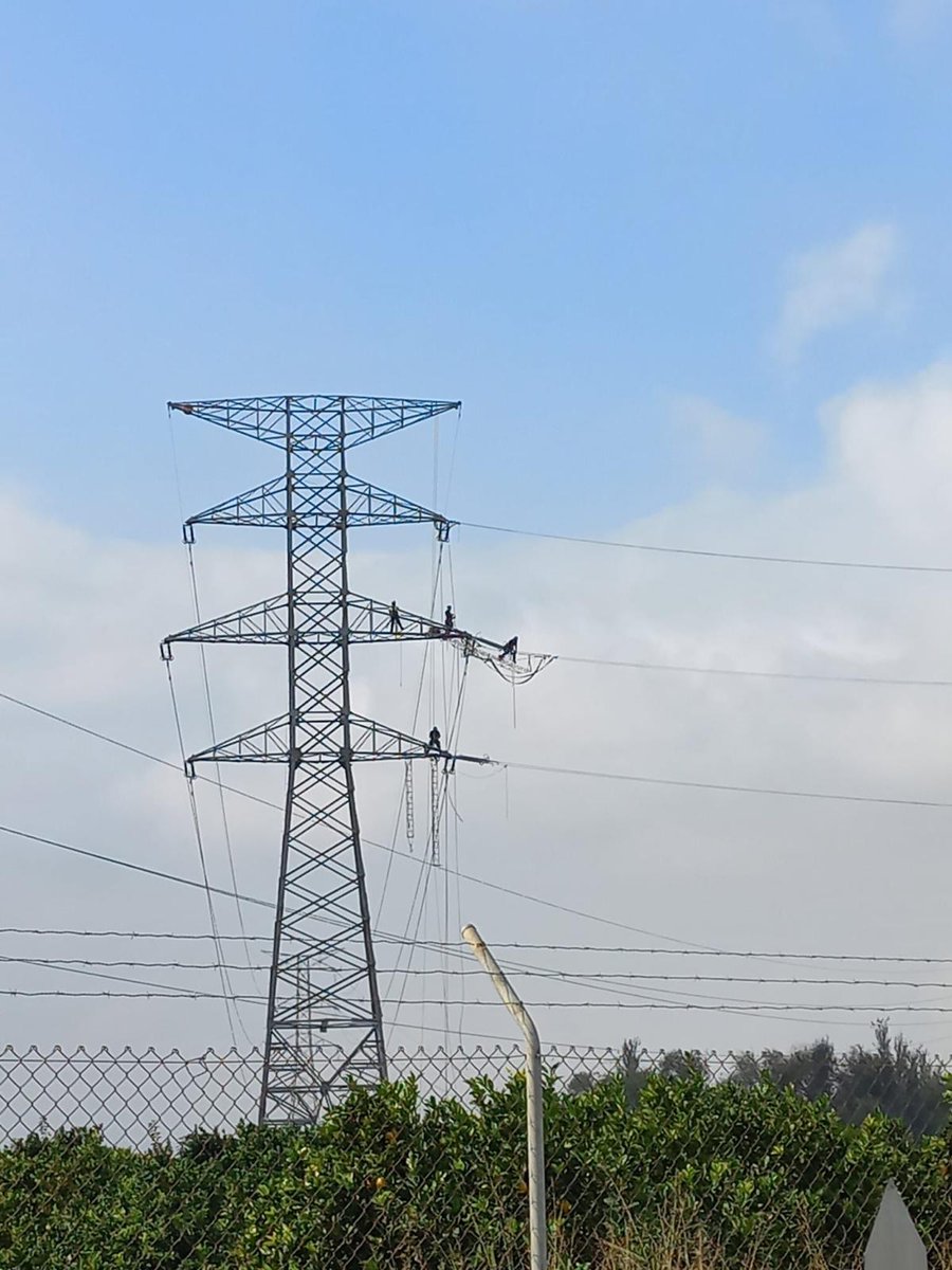 RedElectricaREE's tweet photo. 🔵Continuamos con nuestras labores en la provincia de #Valencia para reforzar el sistema eléctrico, tras el impacto de la #Dana ⤵️

1⃣Afianzamos las instalaciones que han sufrido daños
2⃣Ejecutamos circuitos provisionales de emergencia
3⃣ Replanteamos reposición de los apoyos afectados
4⃣ Evaluamos, mediante ensayos, el estado de una subestación tras el temporal.

↪️ Trabajos con los que seguimos reparando la red de transporte y robusteciendo el sistema eléctrico valenciano. ¡Estamos con la Comunitat! 
#MoltaForçaValència
