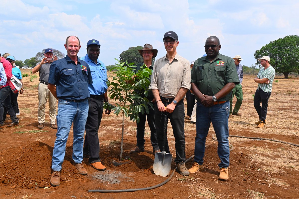 Honored to welcome 🇩🇪 Minister of Food &amp; Agriculture Cem Oezdemir &amp; German business leaders to AKTC! During this visit of the BMEL-funded project, they explored our CAFM &amp; RAINES climate-smart initiatives &amp; learned about AKTC’s impact in advancing sustainable agriculture.