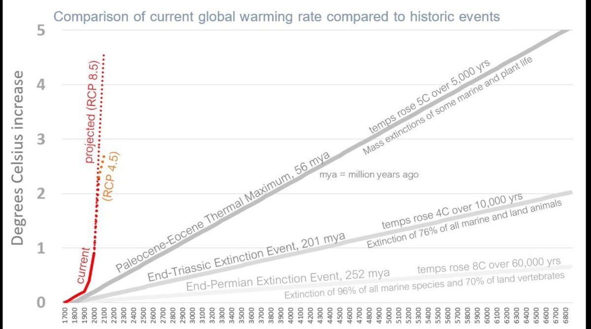 think_or_swim's tweet photo. In #climate, what matters most is rate of change. Chart tracks current rate vs during three previous global mass extinctions. 

Rapid change is dangerous as species can’t adapt or evolve fast enough. 

Yes, we have a BIG problem, as I’ll discuss with @cooper_m on @lstwrd shortly https://t.co/CgBkEJ3dpL