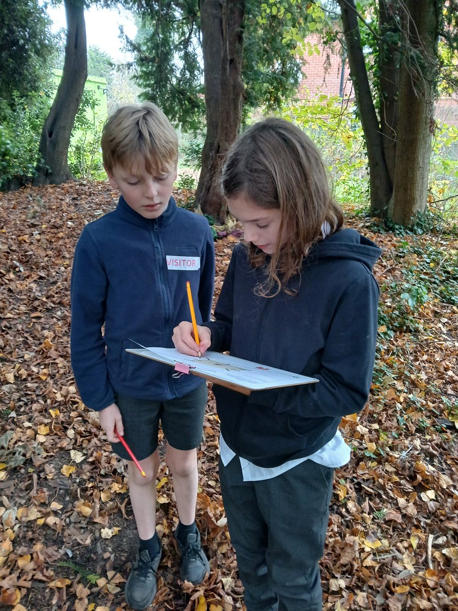 Sustainable Schools Leicester tweet media