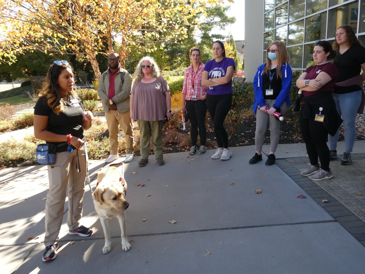 SalusUniversity's tweet image. This year&apos;s canine training crew included a two-year-old black Labrador named Tanya and two blonde Labradors, 10-year-old Aron and two-year-old Fozzie.  

Read more: ow.ly/6cqU50U2gFC

#salusuniversity #salusatdrexel #guidedogtraining #lowvision #BLVS