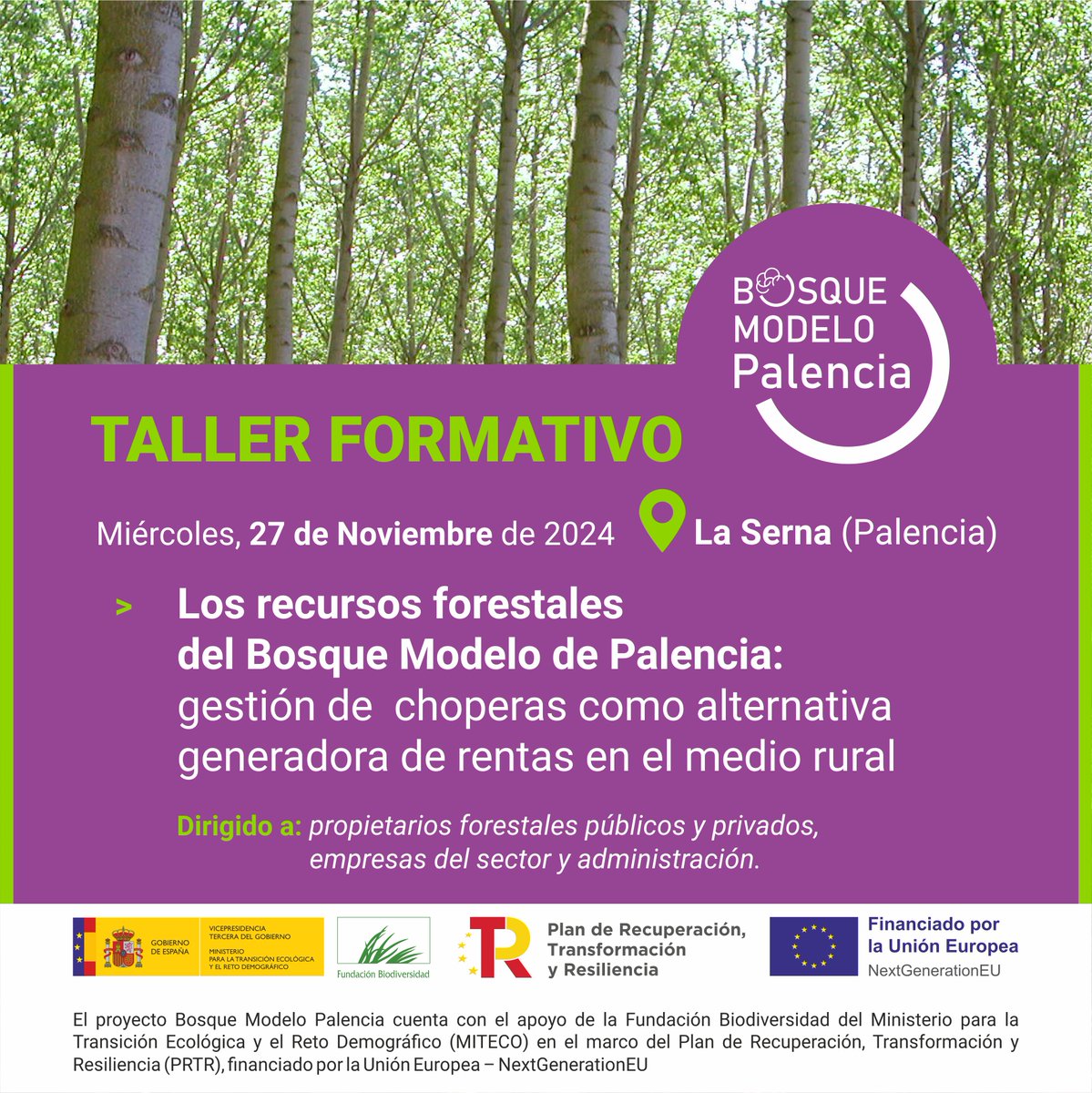 Proy_BMPalencia's tweet photo. 📆 27 de noviembre de 2024
📍 La Serna (Palencia)

📣 ¡Empezamos con las formaciones!

Con el objetivo de mostrar las alternativas generadoras de rentas en el medio rural hemos organizado un taller sobre gestión de choperas🌳.

@FBiodiversidad #ProyectosPRTR #PlanDeRecuperación https://t.co/G3XMdtOtpS