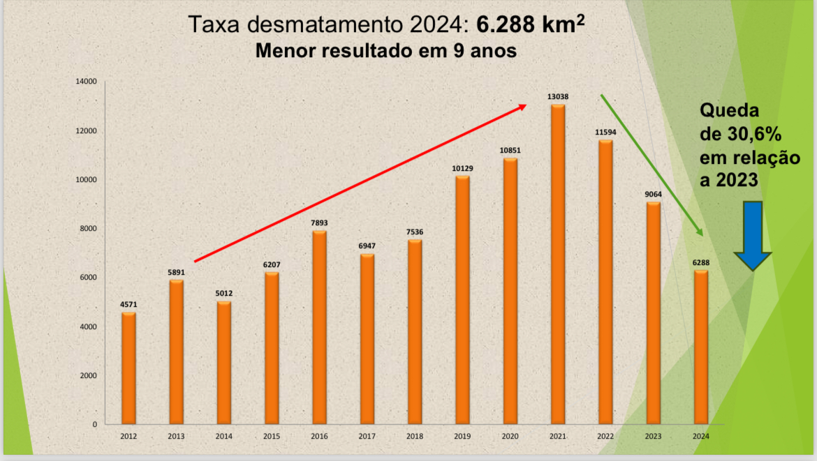 Cristiane Fontes, Kriks 🌎 🌱 tweet media