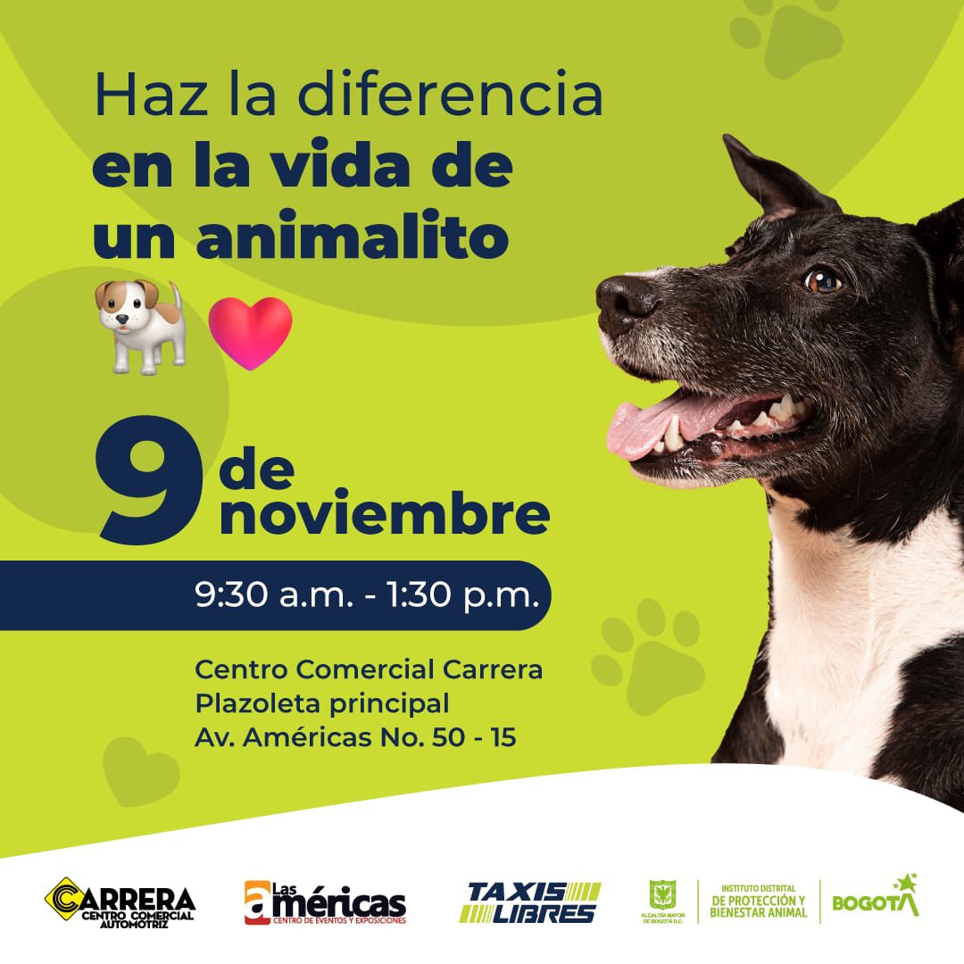 Protección Animal Bogotá tweet media