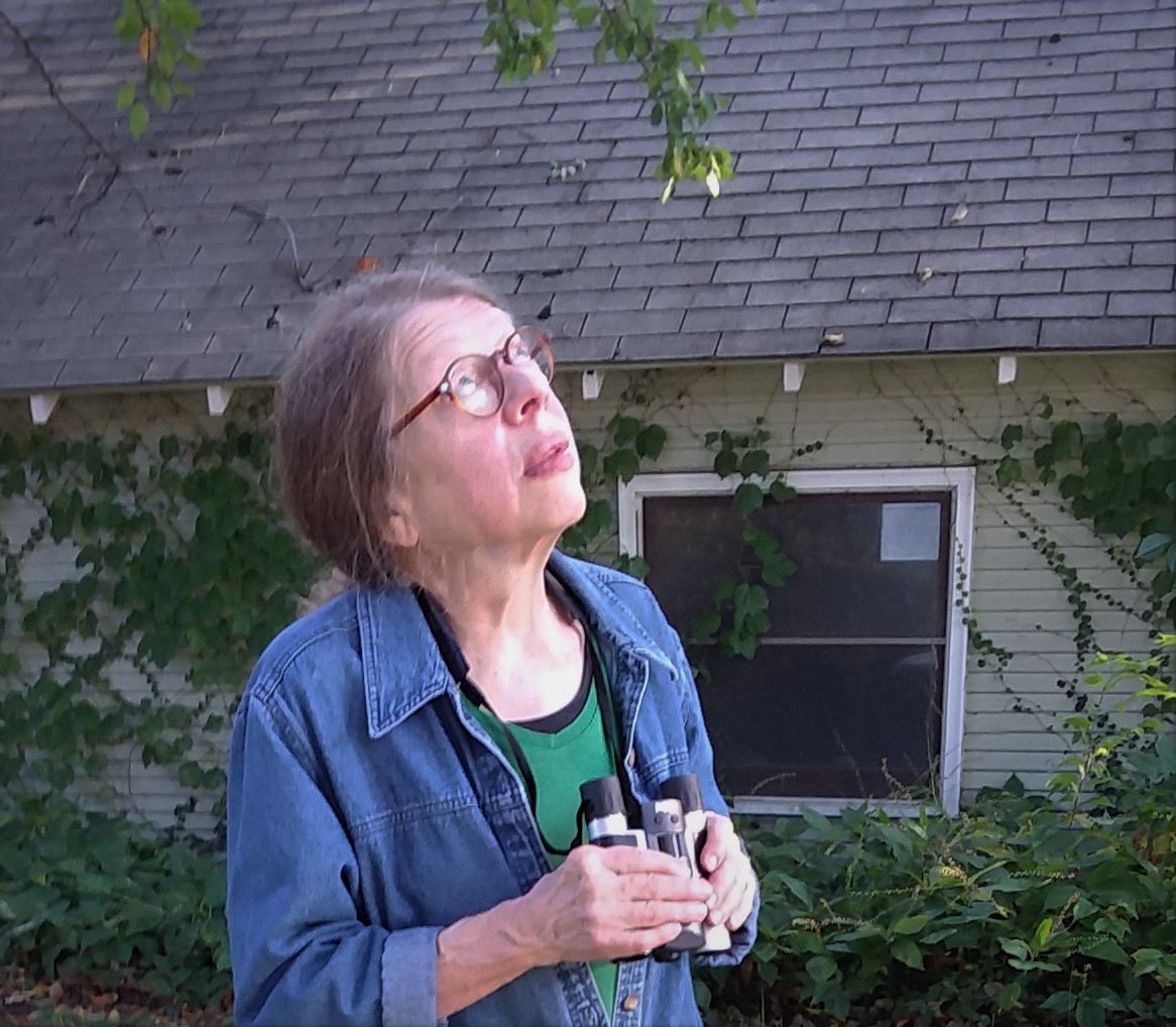 Join us on November 13th on the IU Southeast Library 3rd floor from 6:30-8 p.m. for a free reading and reception with Indiana poet Marianne Boruch.
She has written eleven books of poems,  including Bestiary Dark about wildlife in Australia in the age of fires and climate change.