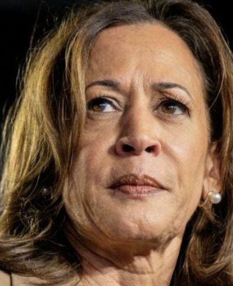 Zcrypto_'s tweet photo. Goodbye Kamala "RAMROD" Harris. You're fired. https://t.co/S37Hxg986N