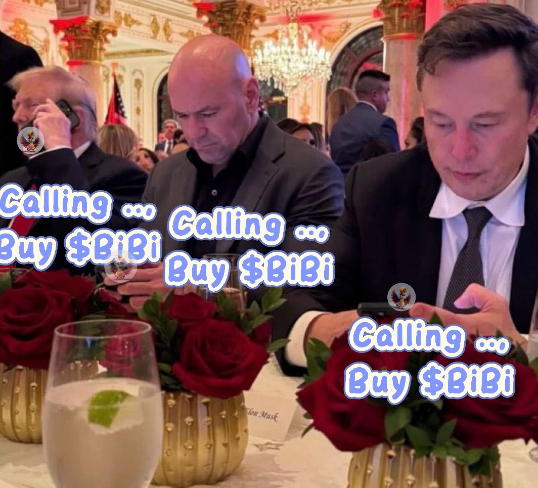 bibisister0508's tweet photo. @quantlytica Amazing  #BTC break $76000. Again
#BIBI x #QTLX to the MOON ! https://t.co/D0YxgPJ960
