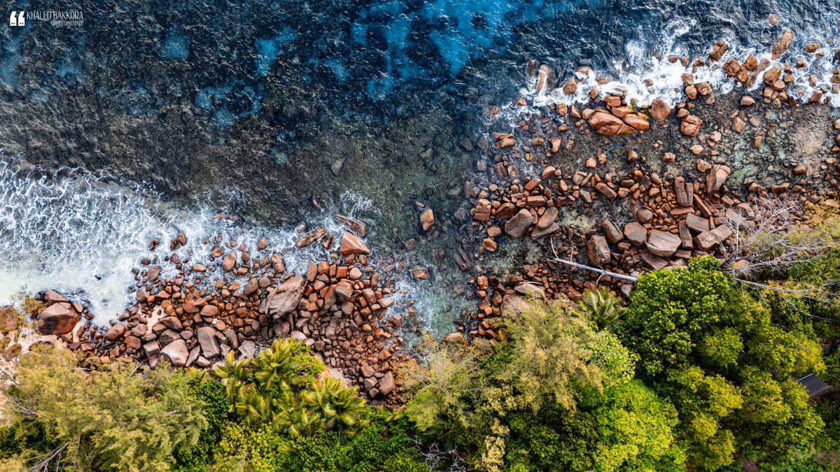 KBakkora's tweet photo. Pure #Nature 🌊🏝️☀️
.
.
#photography #aerial #drone #birdview #Seychelles #Africa #beach #ocean #shore #landscape #photos #new #travel #sunset #rocks #colors #trip #travelphotography #khaledbakkora #dji #mavicmini #natural #beauty #earth #shore #ocean #waves #outdoor https://t.co/PyUM3zZBir