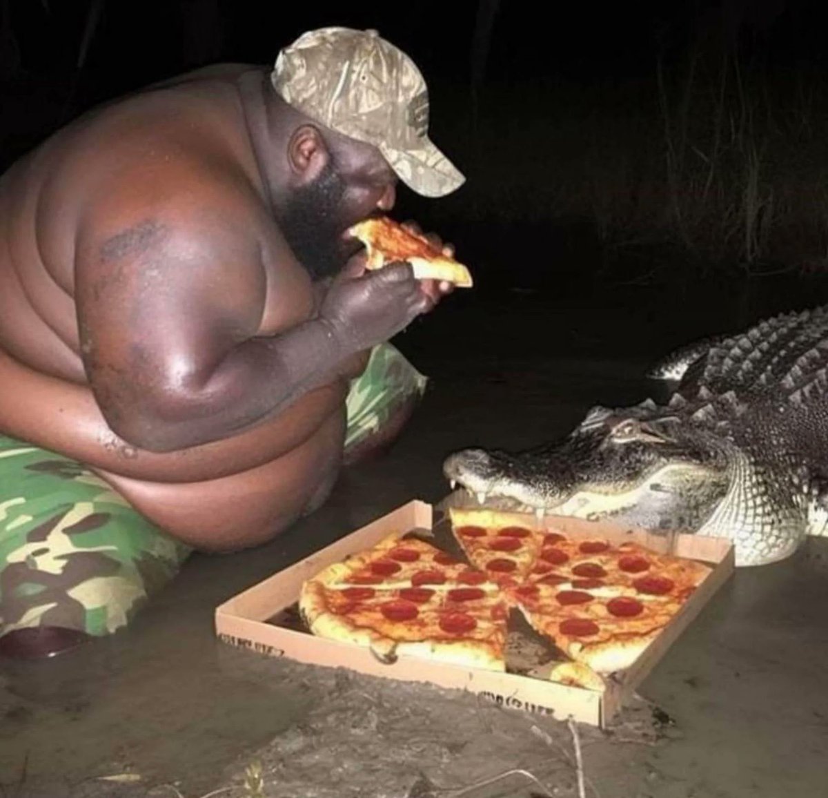 fat nigga crocodile pizza | $FNCP tweet media