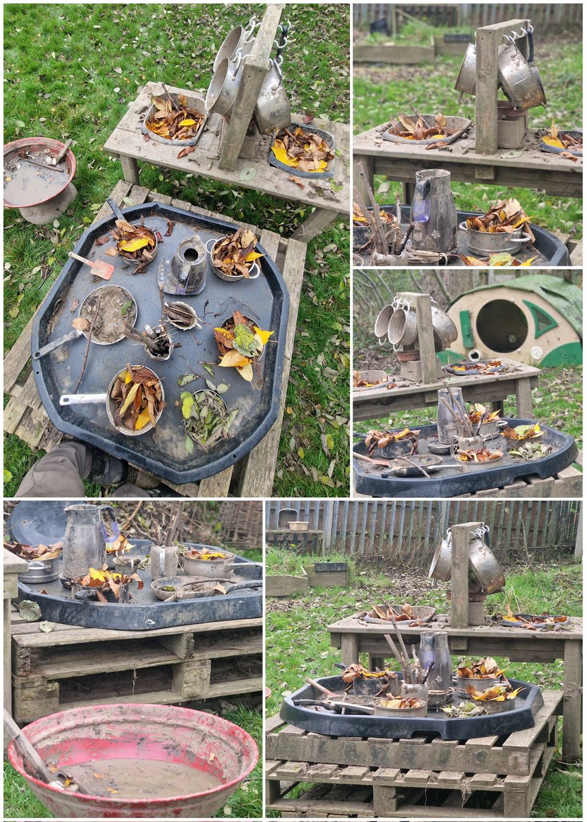 Wild Bears Forest School CIC tweet media