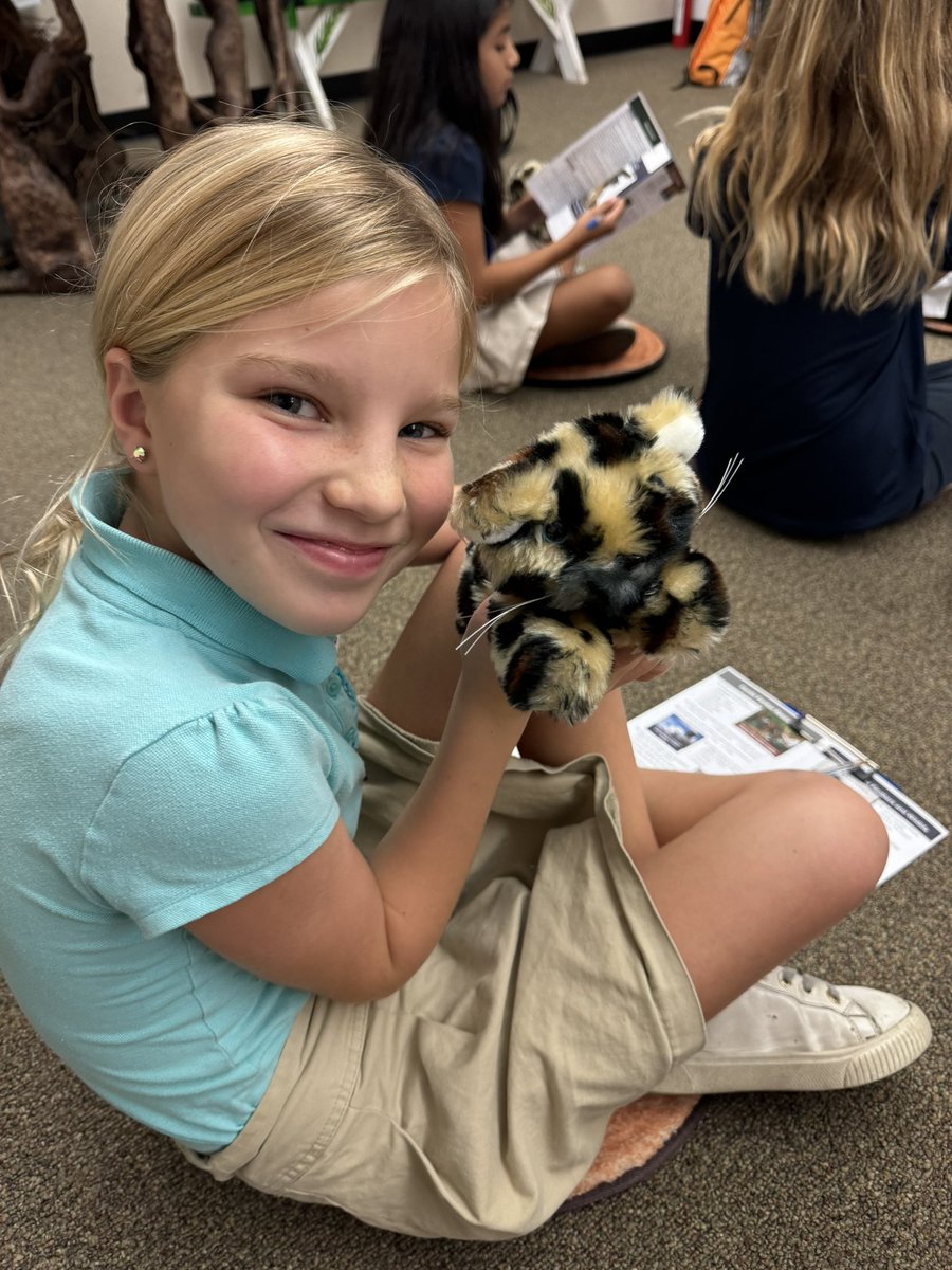 Stephanie Irish tweet media