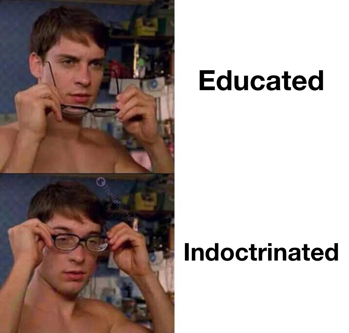 The Rabbit Hole tweet media