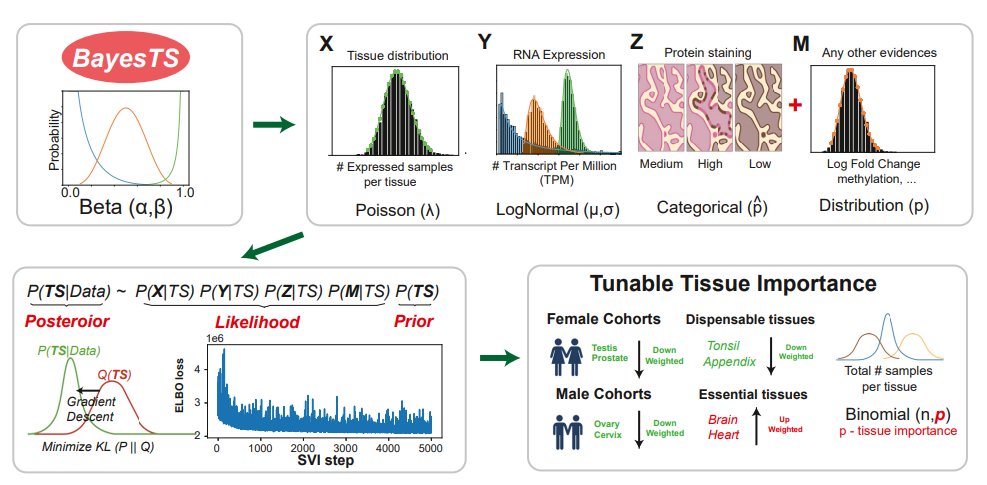 Excited to share BayesTS (shorturl.at/Z1wFi), a new tumor specificity index (measuring how safe a target is) we proposed for drug target discovery. It integrates RNA gene expression, protein staining, tissue essentiality, and many other modalities into a single score. (1/8)