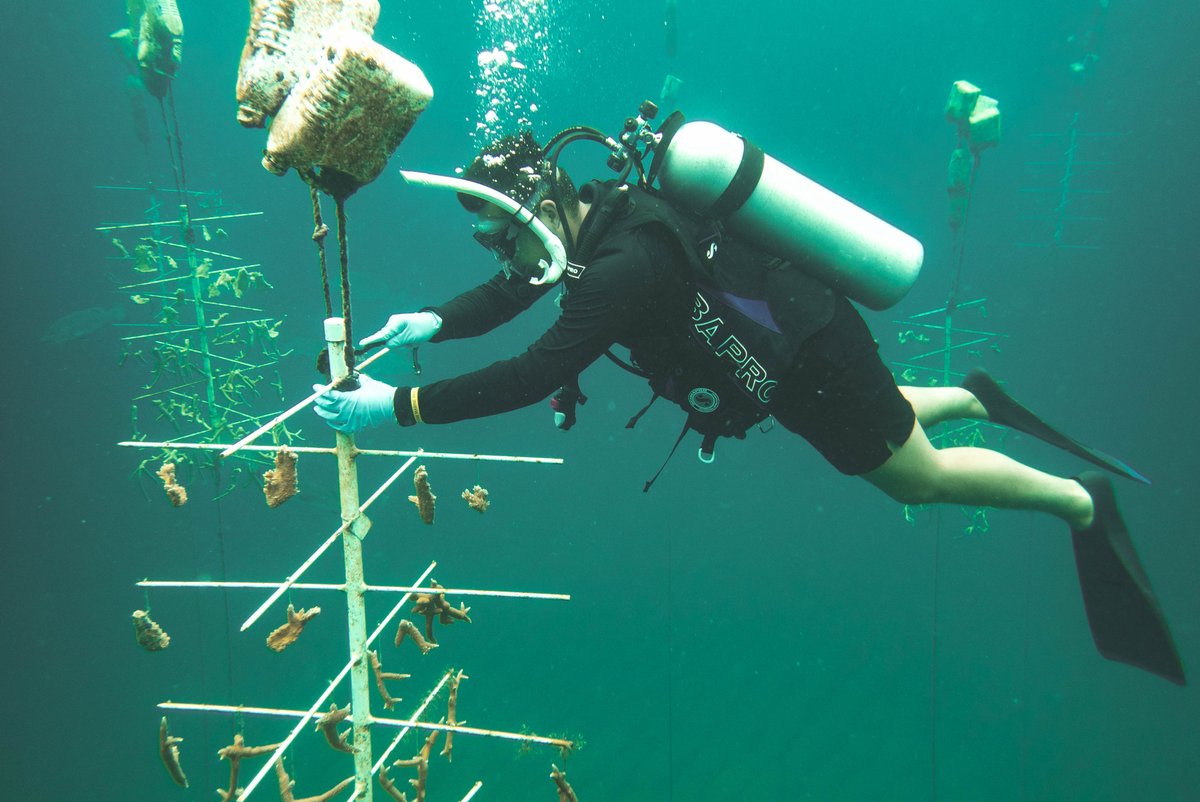 Cal_Maritime's tweet photo. Can you "sea" yourself here? We can! Apply to Cal Maritime today for Fall 2025 at https://t.co/vQkOhPERIf. πβοΈπβοΈ #calmaritime #admissions #collegeapplications #maritimeimpact #studentsuccess #collegelife @CSUM_Admissions @calstate https://t.co/EJyk9RhM4d