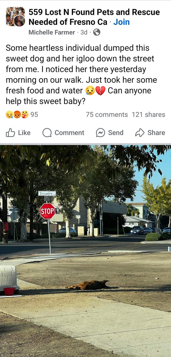 therealbigdiehl's tweet image. We fucking suck here.🔥🤬🔥 #onefresNo