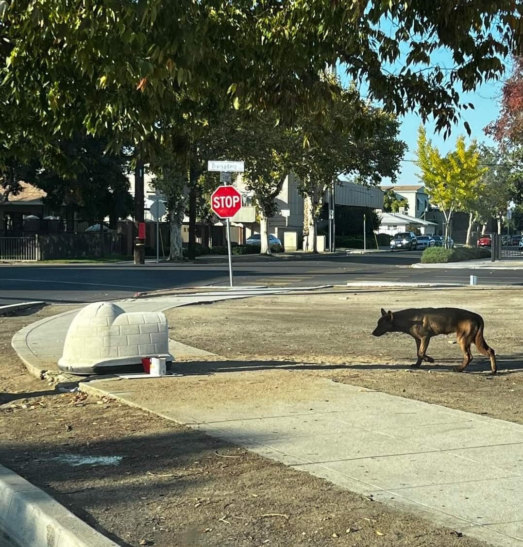 therealbigdiehl's tweet image. We fucking suck here.🔥🤬🔥 #onefresNo