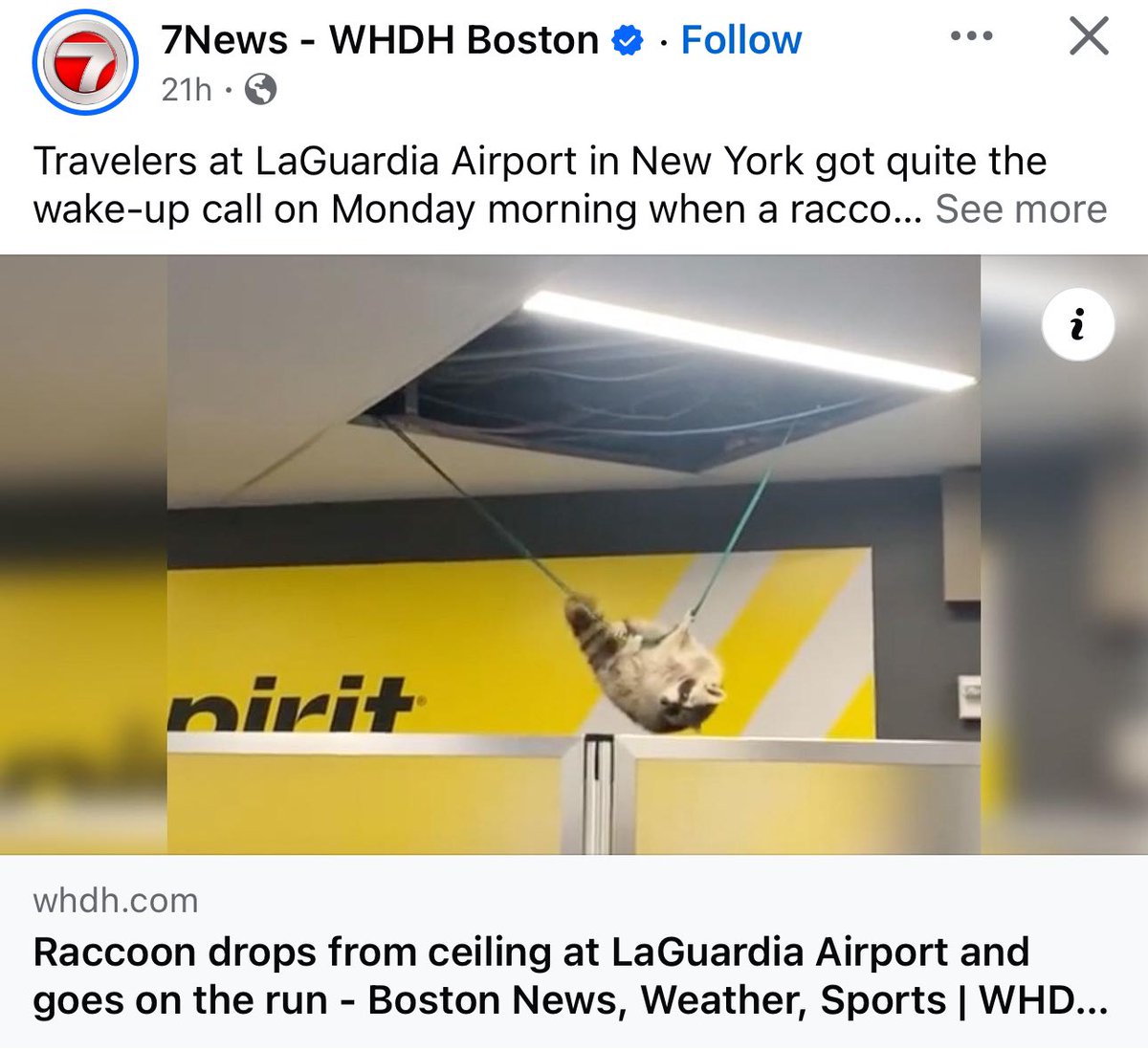 outside_ofme1's tweet photo. Uhhhh…@alienlesbian please account for your whereabouts Monday morning 😂 🦝 https://t.co/SnNibCPcq4