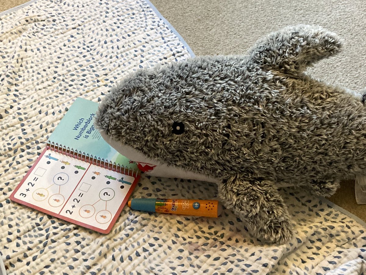 Why is there a shark learning math in my family room?