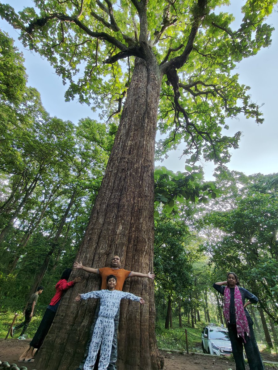 Gaurav Kumar Bansal tweet media