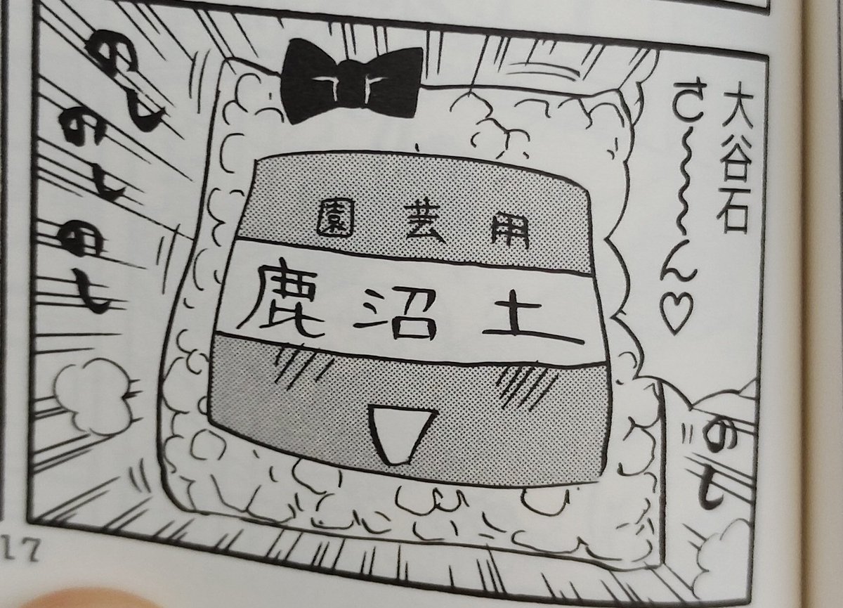 鹿沼土かわいい 