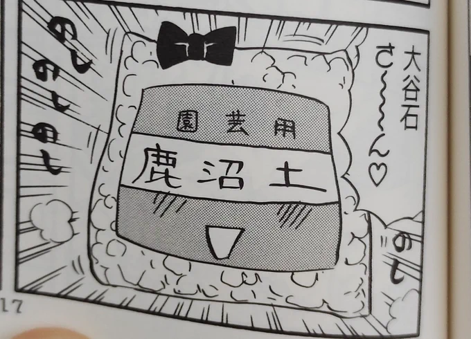 鹿沼土かわいい 