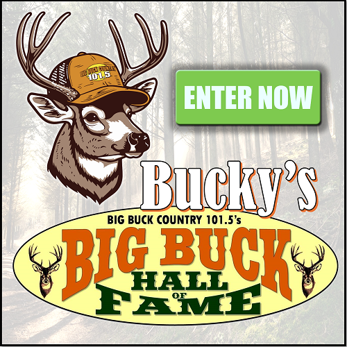 Big Buck 101.5 FM tweet media