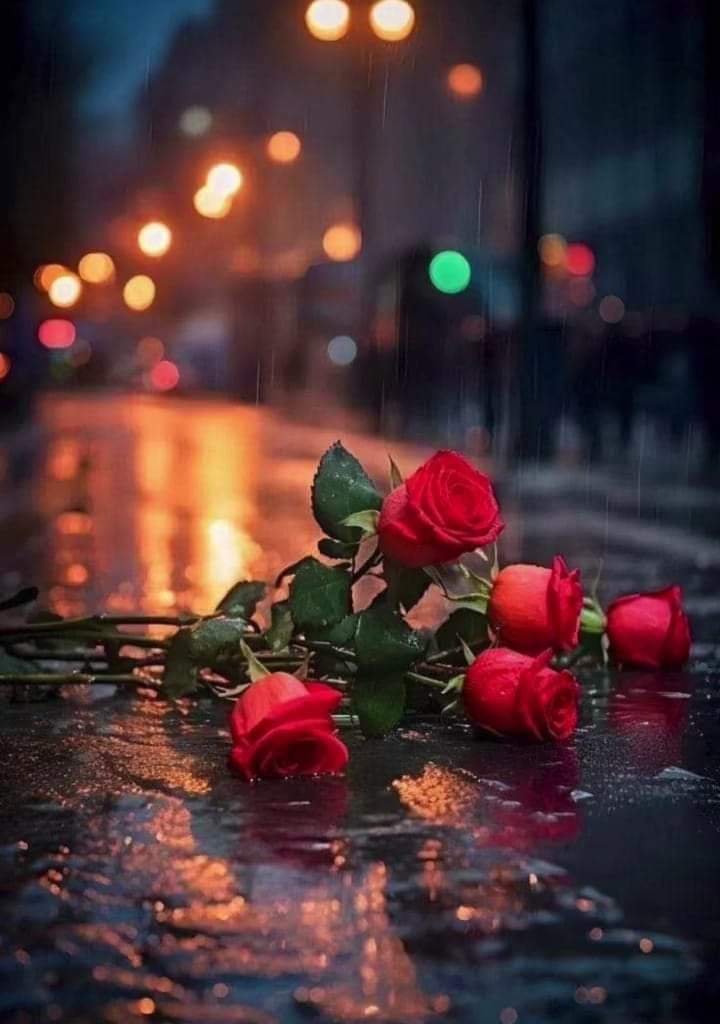 drSPetrovic's tweet image. ⚜️❤️ Sve razumeš i ne kidaš se zbog toga.
           Damski osmeh.
           To je mudrost. ❤️⚜️