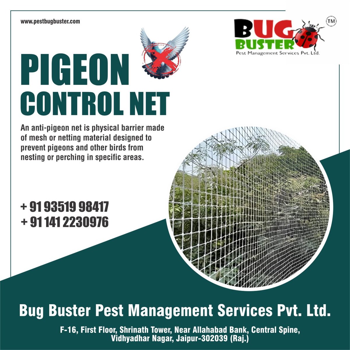 bugbusterpestm's tweet image. Keep Your Spaces Pigeon-Free with Bug Buster!" 🐦
Say goodbye to unwanted birds with our effective Pigeon Control Net solutions! 

🌐: pestbugbuster.com

#PigeonControl #BirdControlSolutions #BugBuster #PestManagement #AntiPigeonNet #JaipurServices #PigeonFree #BirdProofing