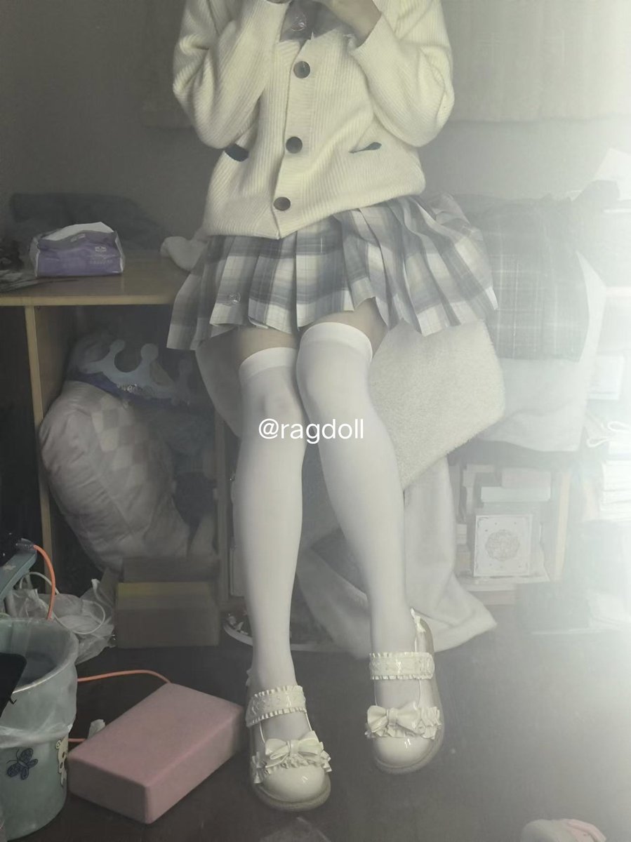ragdoll (@RagdollCat1026) / Posts / X