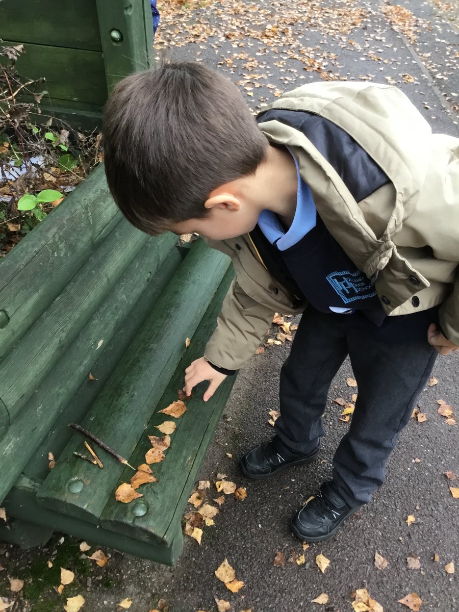 HollandHInfants's tweet photo. Seals went outside for maths to compare and identify the difference #outdoorclassroomday https://t.co/CCN8gSHARn
