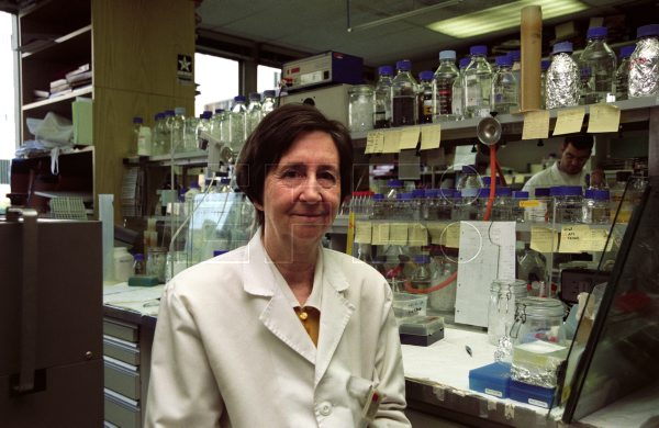 EFE LaFototeca tweet media