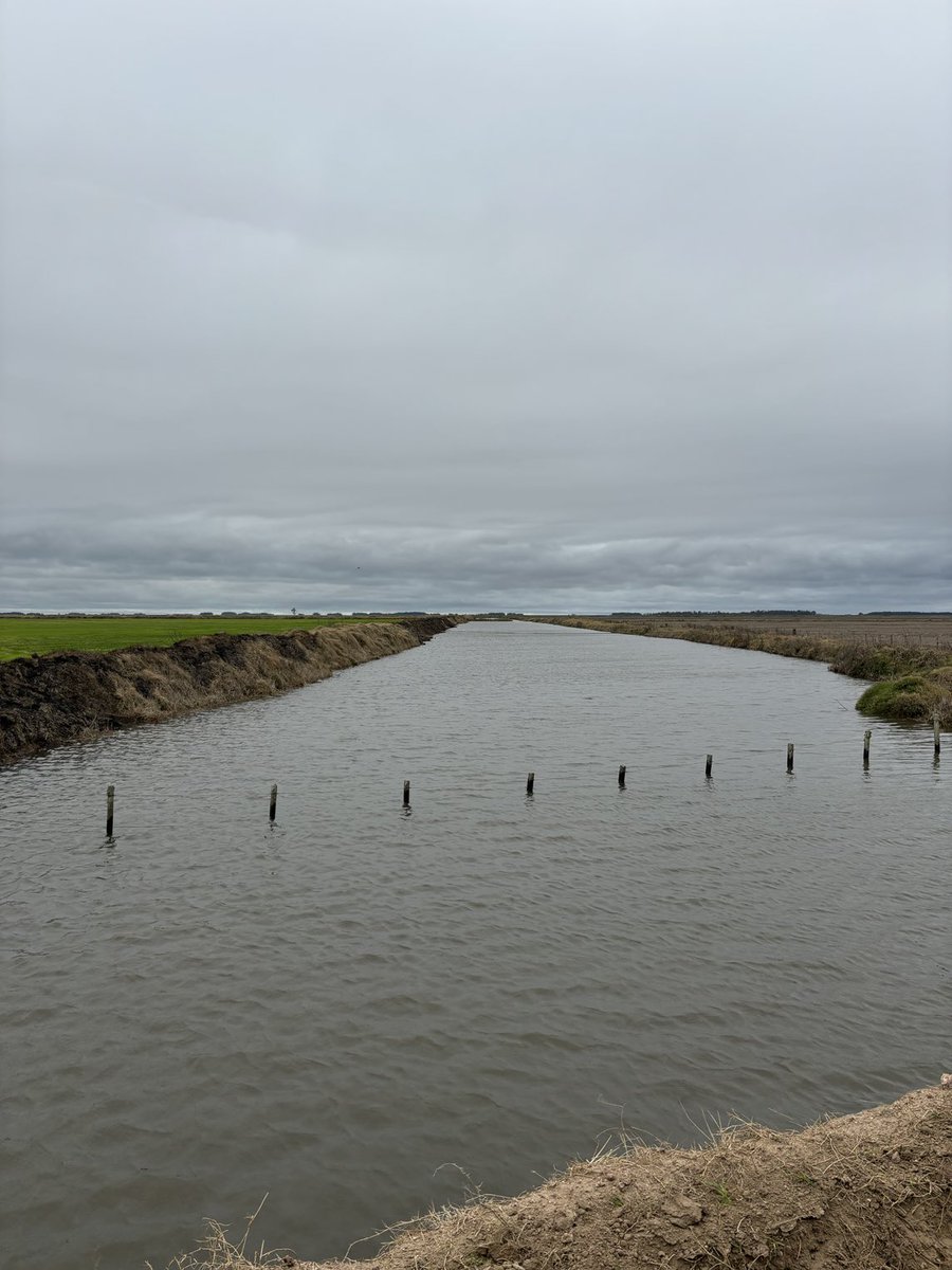 Va agua !!!! A llenar las chacras de masaricos