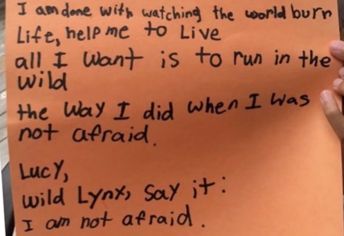 Timeline cleanse. A fourth-grader wrote these lines when I visited her class to talk about poetry, and I think about them every day.